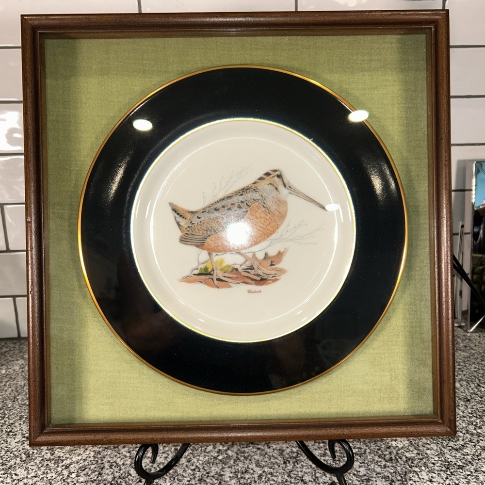 American Woodcock Collector Plate by Arthur Singer in Shadow Box 13.75x13.75 in